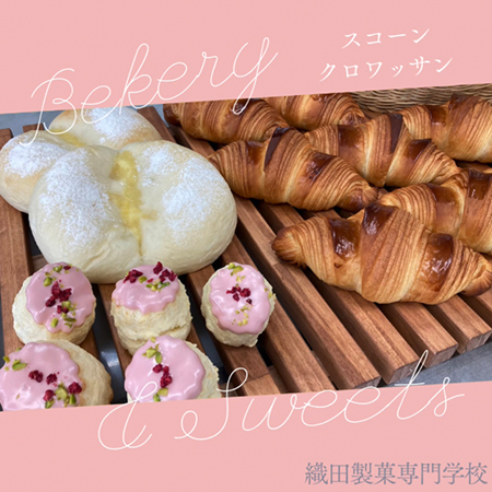 織田製菓専門学校_製パン実習で作ったクロワッサンとスコーン