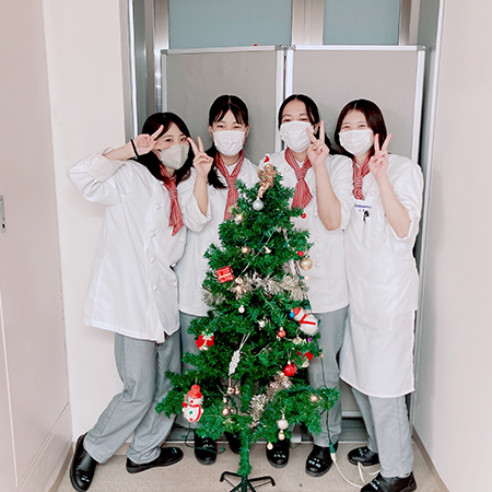 製造販売実習でクリスマスツリーを飾る織田製菓専門学校の学生たち